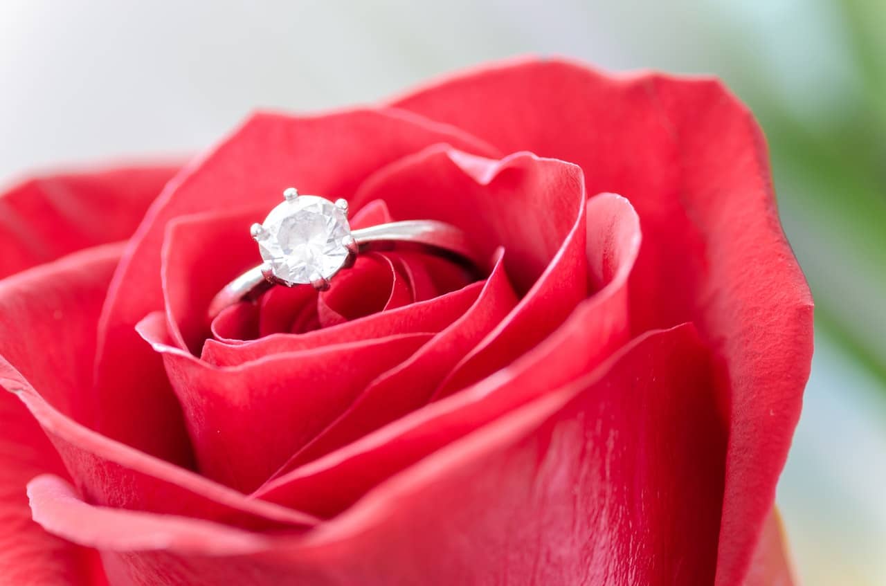 sterling silver engagement ring placed in a rose